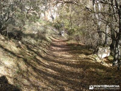 Parque Natural del Barranco Río Dulce;rutas navarra senderismo rutas senderismo murcia